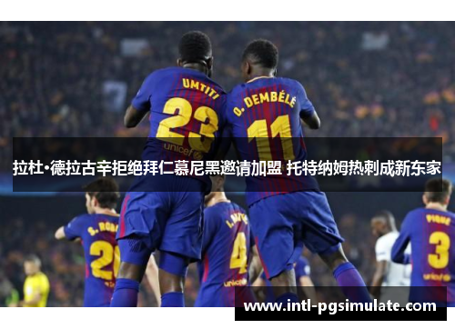 拉杜·德拉古辛拒绝拜仁慕尼黑邀请加盟 托特纳姆热刺成新东家